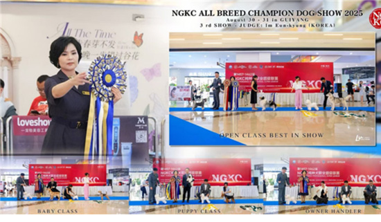 ���� 11 �̹���1