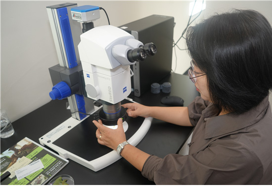 ���� 12 �̹���3