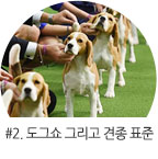 2ȭ Į������