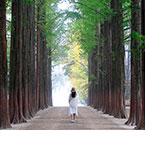 14ȭ Į������